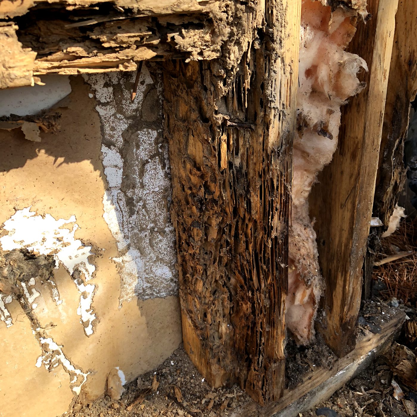 Coastal Florida home with stucco removed exposing rotted black sheathing across a full wall section