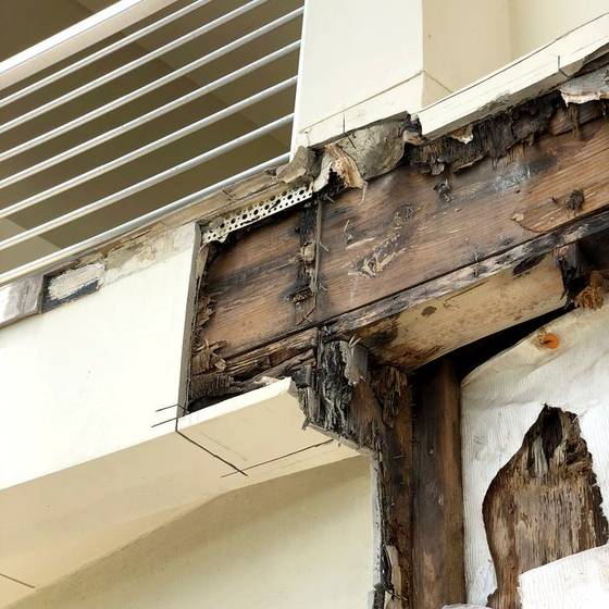 Coastal Florida wood rot / moisture damage / repair project photo