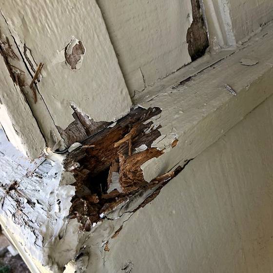 Coastal Florida wood rot / moisture damage / repair project photo
