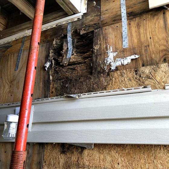Coastal Florida wood rot / moisture damage / repair project photo