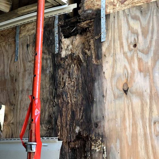 Coastal Florida wood rot / moisture damage / repair project photo