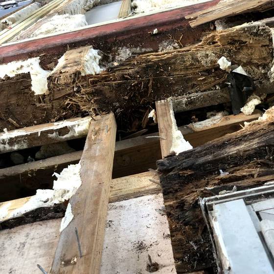 Coastal Florida wood rot / moisture damage / repair project photo