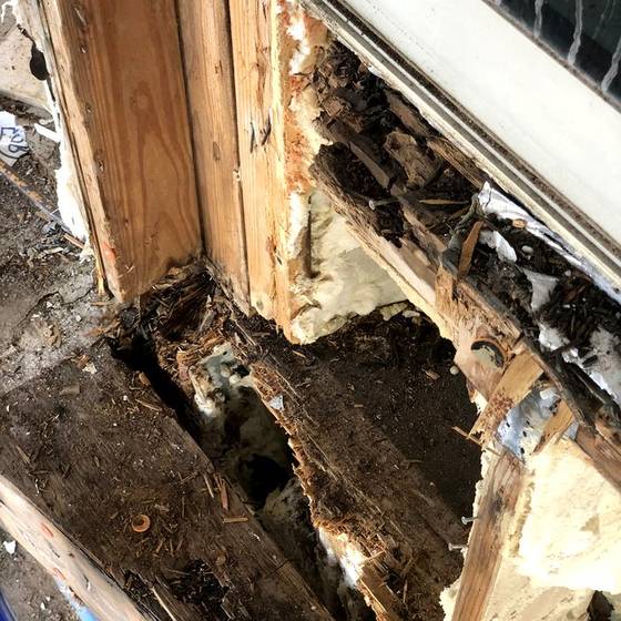 Coastal Florida wood rot / moisture damage / repair project photo