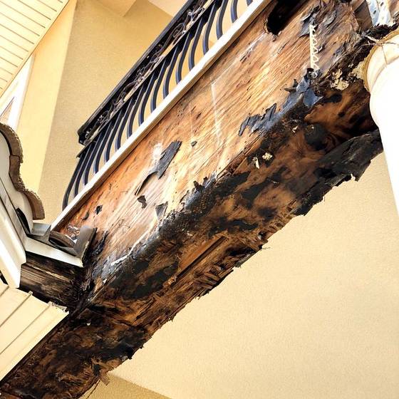 Coastal Florida wood rot / moisture damage / repair project photo