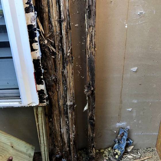 Coastal Florida wood rot / moisture damage / repair project photo