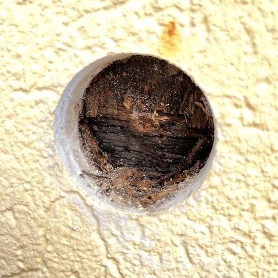 Coastal Florida wood rot / moisture damage / repair project photo