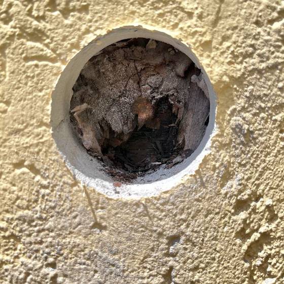 Coastal Florida wood rot / moisture damage / repair project photo